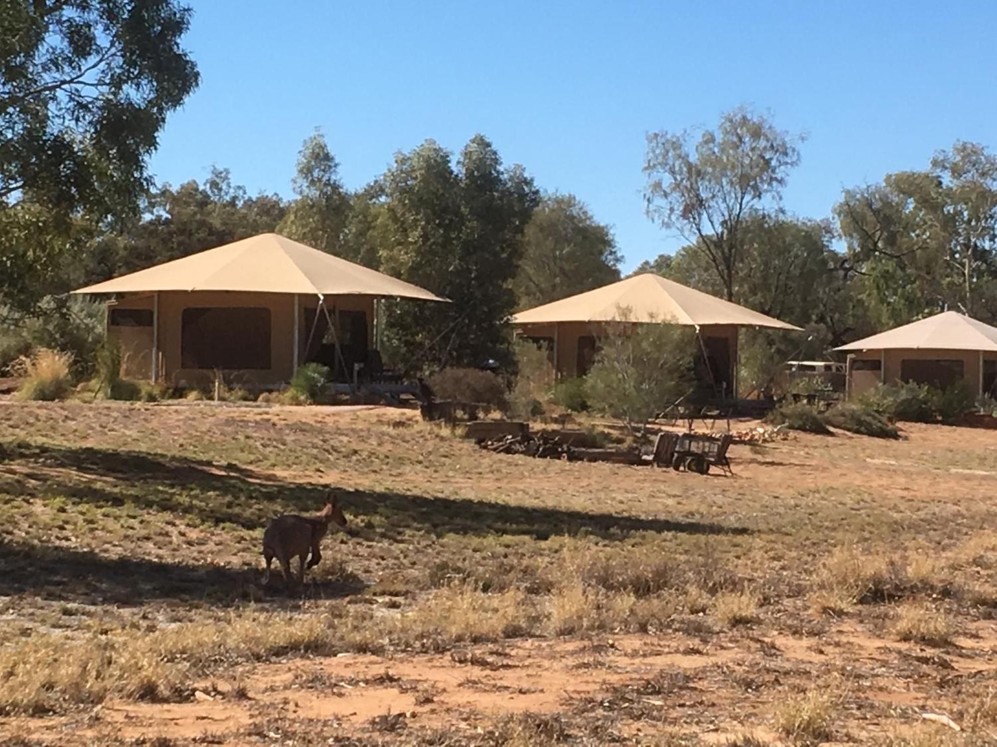 Squeakywindmill Boutique Tent B&B Alice Springs Exterior photo